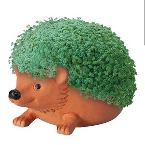 Classic Hedgehog Chia Pet